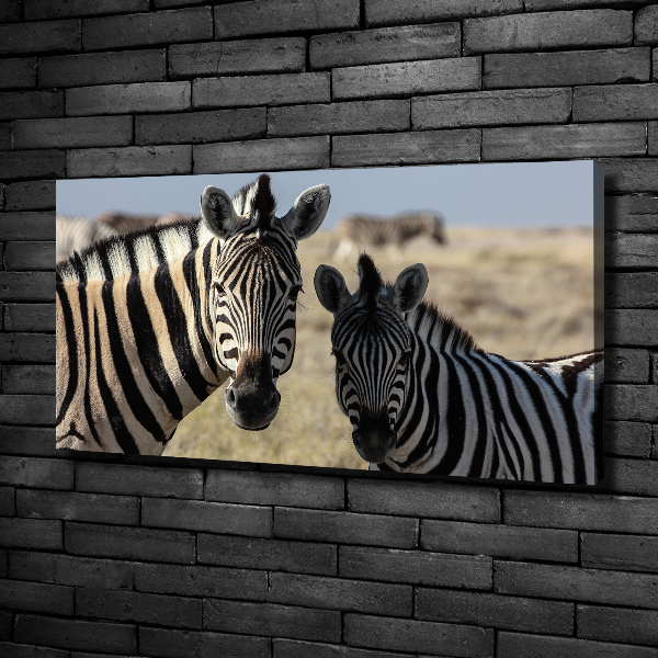Quadro su tela Due zebre