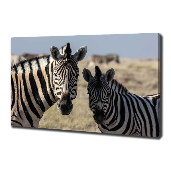 Quadro su tela Due zebre