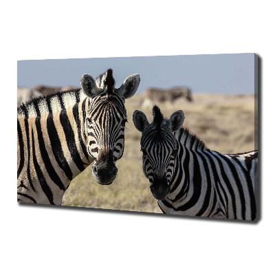 Quadro su tela Due zebre