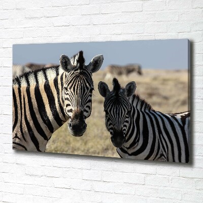 Quadro su tela Due zebre