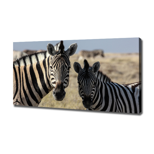 Quadro su tela Due zebre