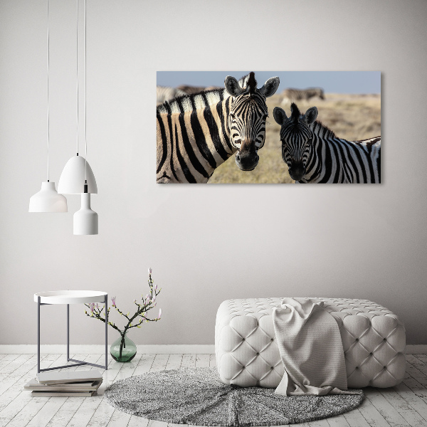 Quadro su tela Due zebre