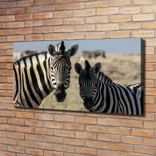 Quadro su tela Due zebre