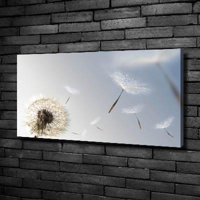 Foto quadro su tela Dente di leone