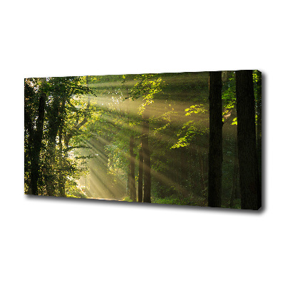 Quadro su tela Foresta al sole