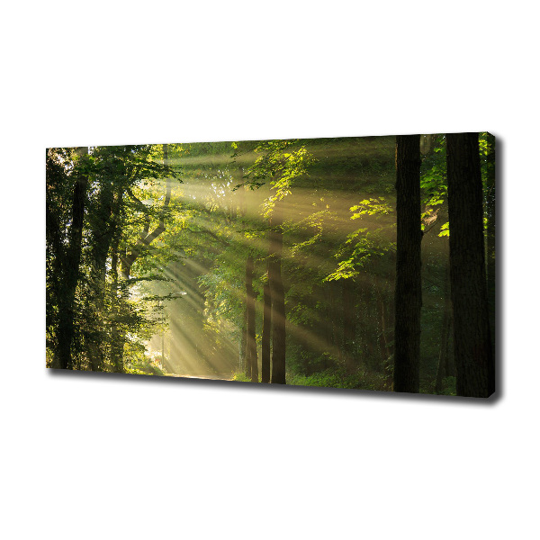 Quadro su tela Foresta al sole