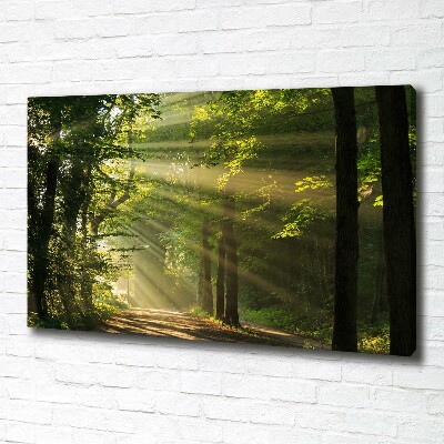 Quadro su tela Foresta al sole