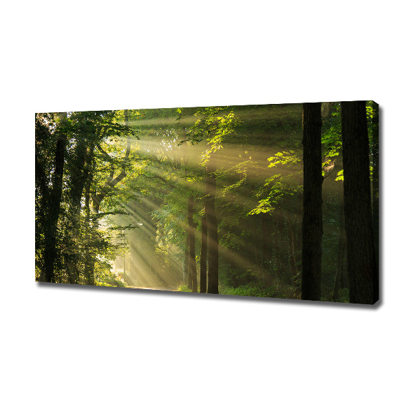 Quadro su tela Foresta al sole