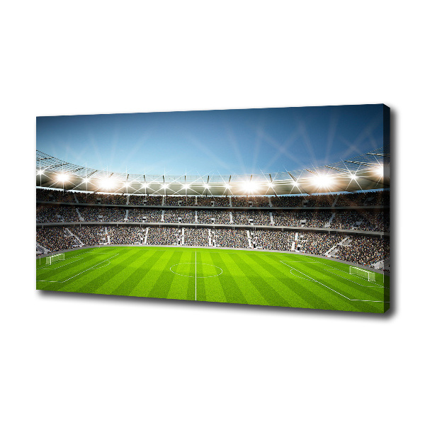 Foto quadro su tela Stadio