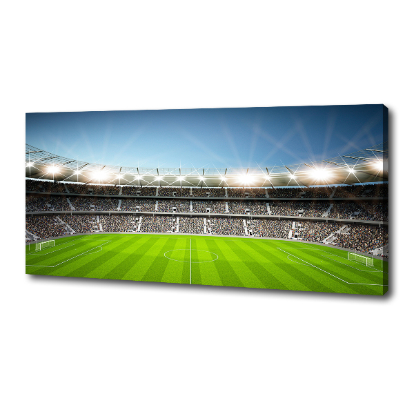 Foto quadro su tela Stadio