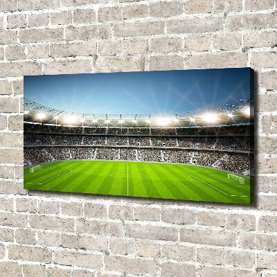 Foto quadro su tela Stadio