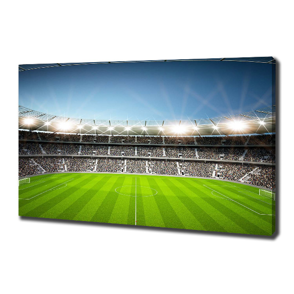 Foto quadro su tela Stadio