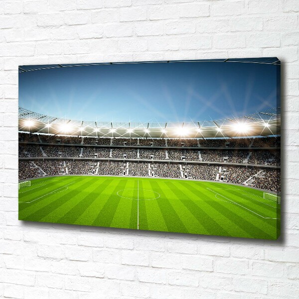 Foto quadro su tela Stadio