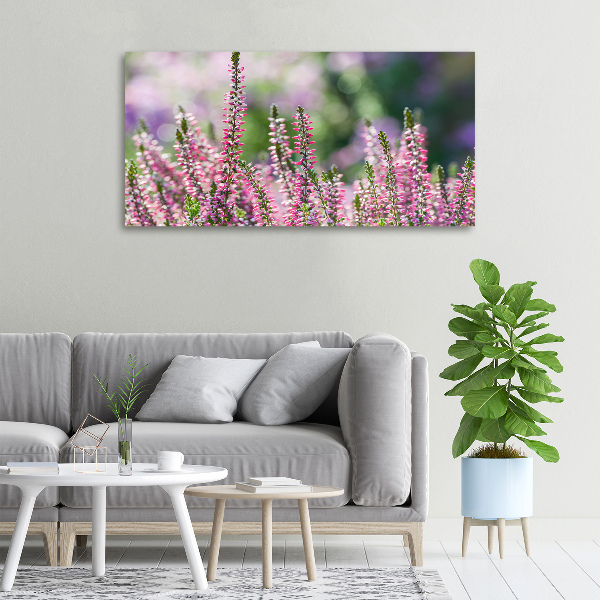 Foto quadro su tela Fiori di erica