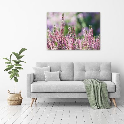Foto quadro su tela Fiori di erica