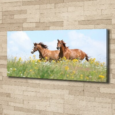 Foto quadro su tela Due cavalli al galoppo