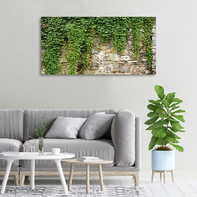 Quadro stampa su tela Edera verde