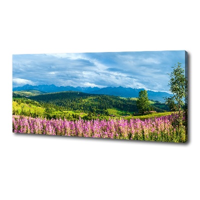 Foto quadro su tela Lavanda in montagna