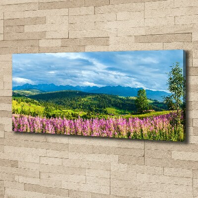 Foto quadro su tela Lavanda in montagna