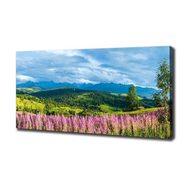 Foto quadro su tela Lavanda in montagna