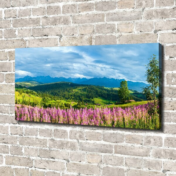 Foto quadro su tela Lavanda in montagna