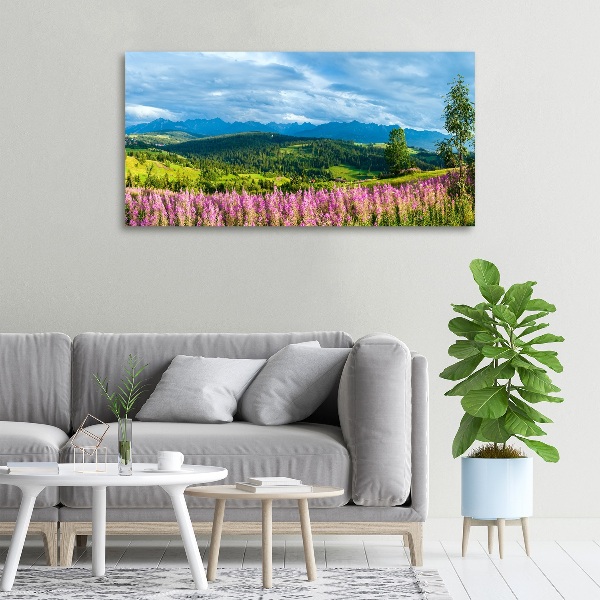 Foto quadro su tela Lavanda in montagna