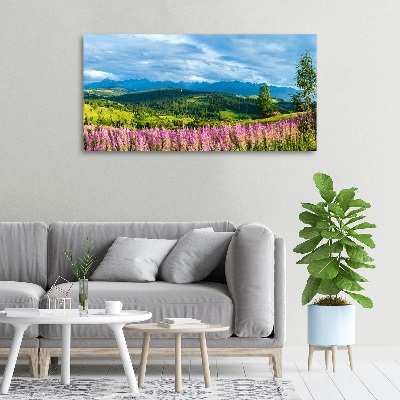 Foto quadro su tela Lavanda in montagna