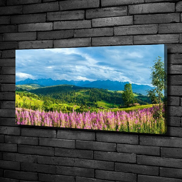 Foto quadro su tela Lavanda in montagna