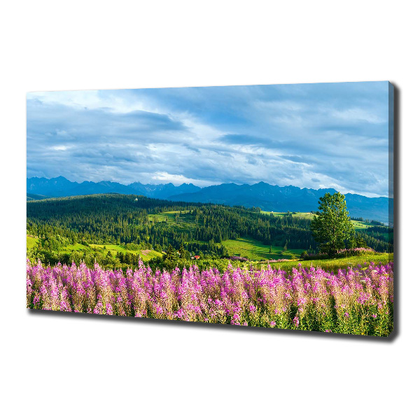 Foto quadro su tela Lavanda in montagna