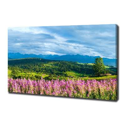 Foto quadro su tela Lavanda in montagna