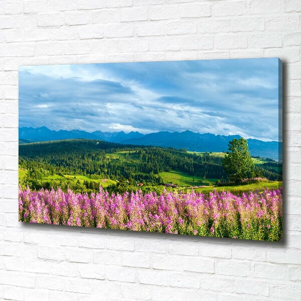 Foto quadro su tela Lavanda in montagna