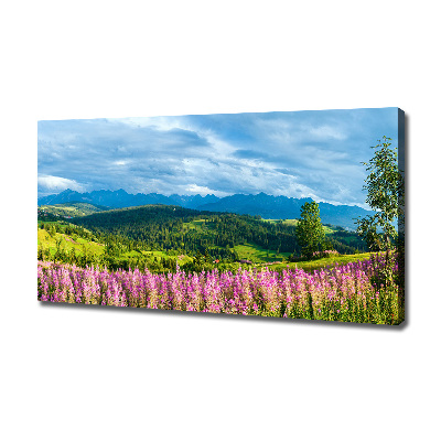 Foto quadro su tela Lavanda in montagna