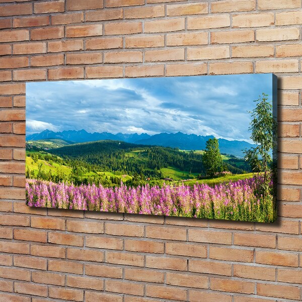 Foto quadro su tela Lavanda in montagna