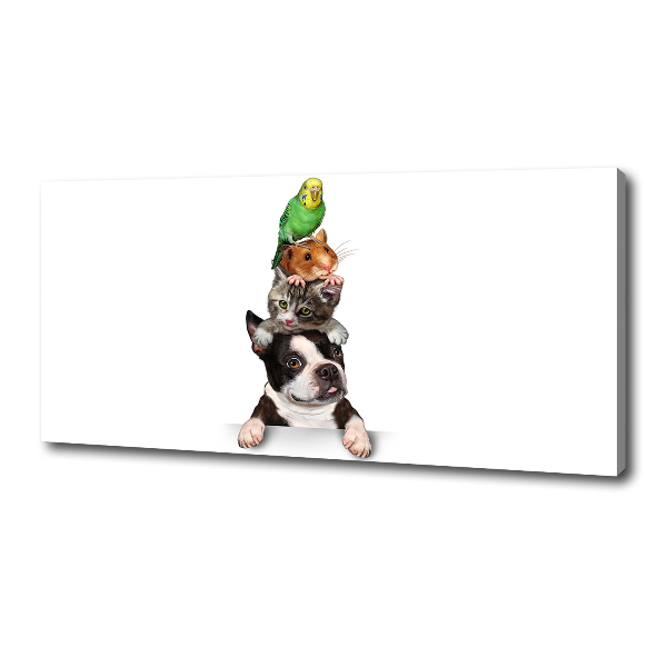 Quadro su tela Un gruppo di animali