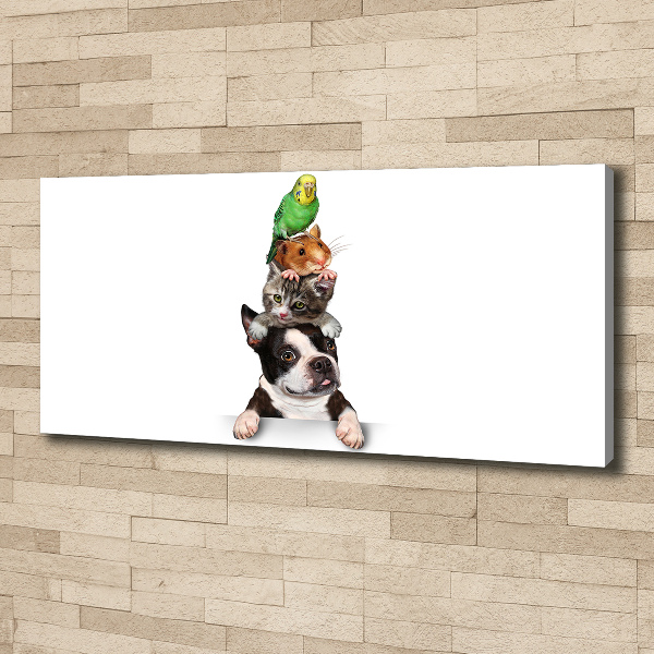 Quadro su tela Un gruppo di animali