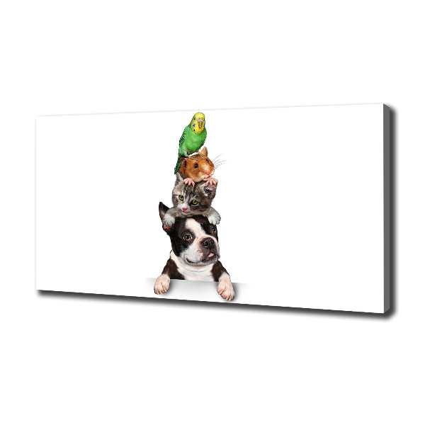 Quadro su tela Un gruppo di animali