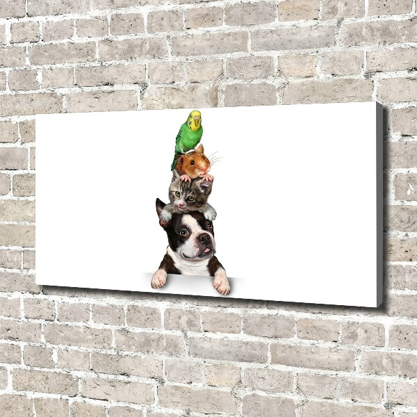 Quadro su tela Un gruppo di animali