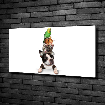 Quadro su tela Un gruppo di animali