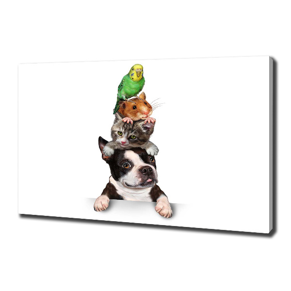 Quadro su tela Un gruppo di animali