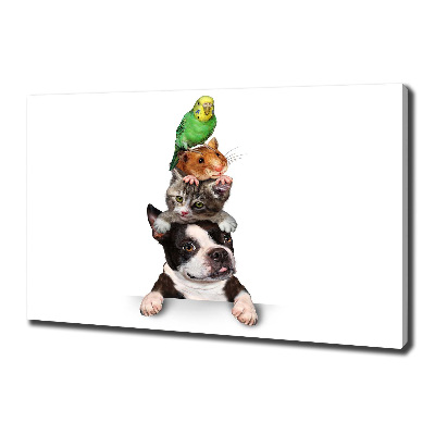 Quadro su tela Un gruppo di animali