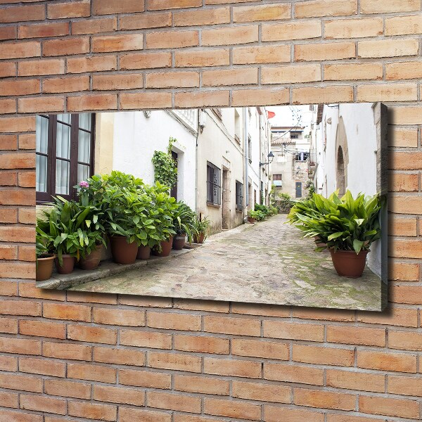 Quadro su tela Una strada affascinante