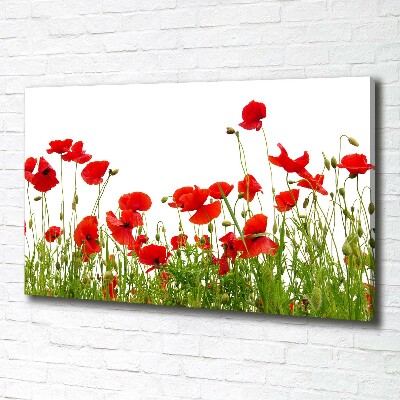 Quadro su tela Papaveri