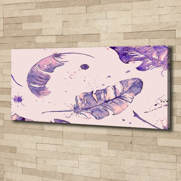 Quadro su tela Piume