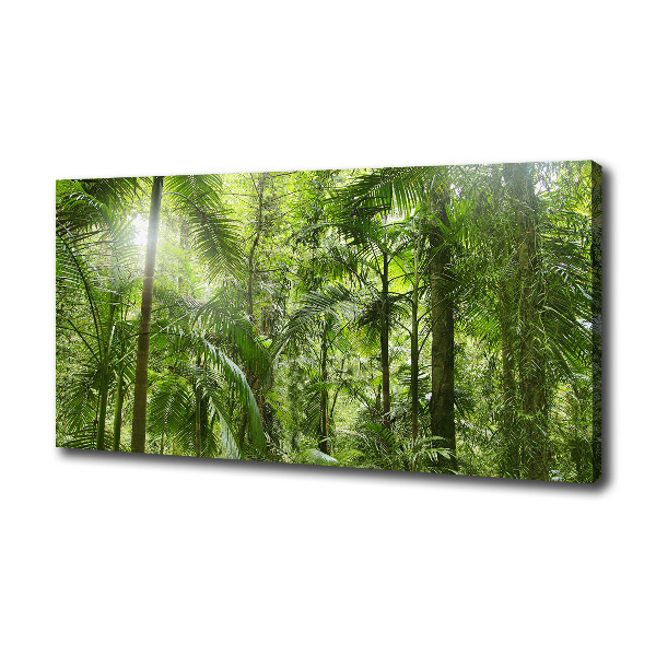 Foto quadro su tela Foresta tropicale