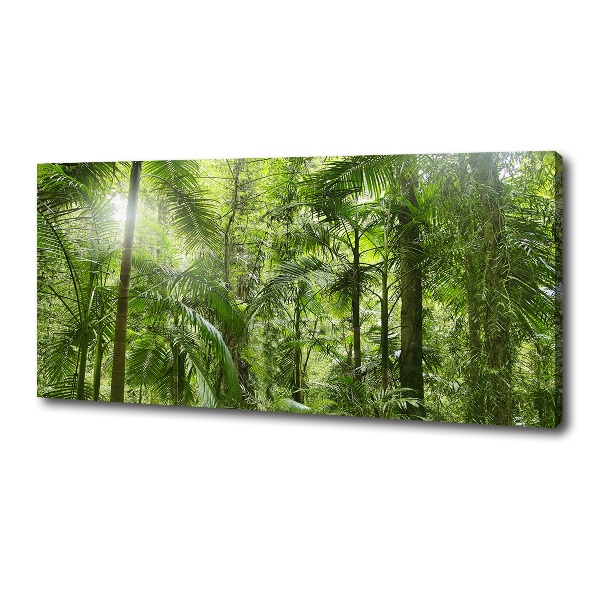 Foto quadro su tela Foresta tropicale