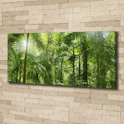 Foto quadro su tela Foresta tropicale