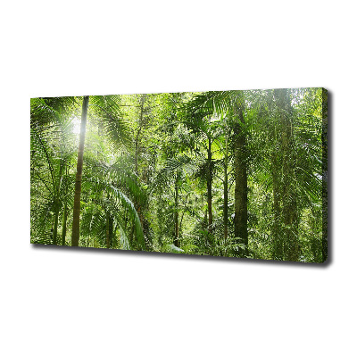 Foto quadro su tela Foresta tropicale