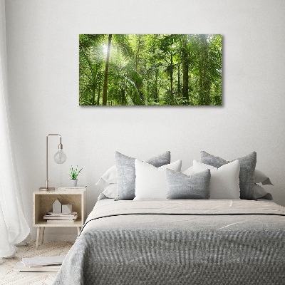 Foto quadro su tela Foresta tropicale