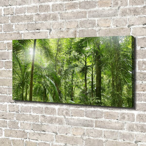 Foto quadro su tela Foresta tropicale