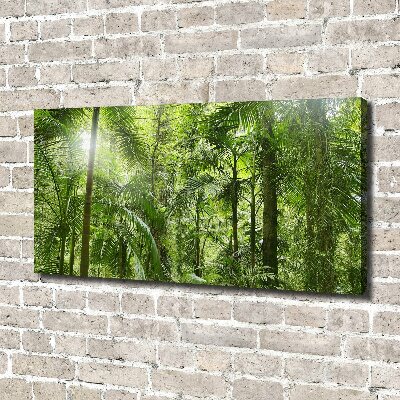 Foto quadro su tela Foresta tropicale